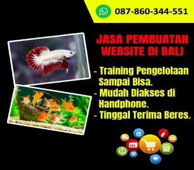 Jasa Pembuatan Website Untuk Toko Ikan Hias Di Bali